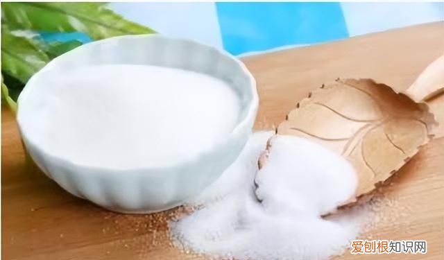 家里有蟑螂怎么办能除根?消灭蟑螂最好的方法是什么