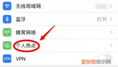 苹果手机怎么开热点，苹果手机的热点怎么开