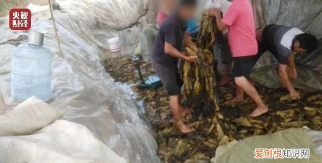 老式方便面怎么吃好吃,常见又好吃的方便面