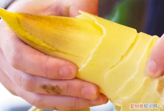 油焖春笋家常做法春笋到底焯不焯