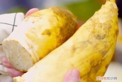 油焖春笋家常做法春笋到底焯不焯