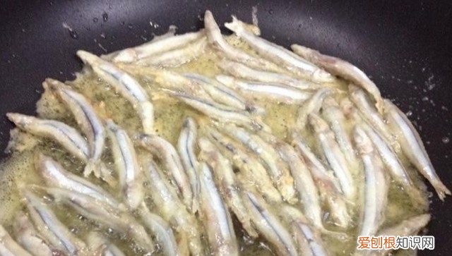 请告诉孩子一定要知道这三种鱼