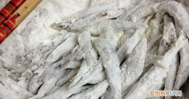 请告诉孩子一定要知道这三种鱼