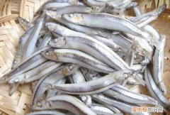 请告诉孩子一定要知道这三种鱼