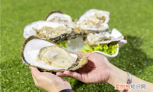 如何才能补锌，孩子补锌的作用是什么