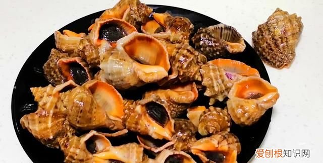 海螺用冷水还是热水煮几分钟能熟