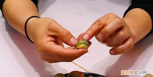 海螺用冷水还是热水煮几分钟能熟