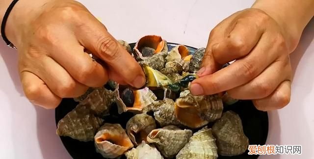 海螺用冷水还是热水煮几分钟能熟