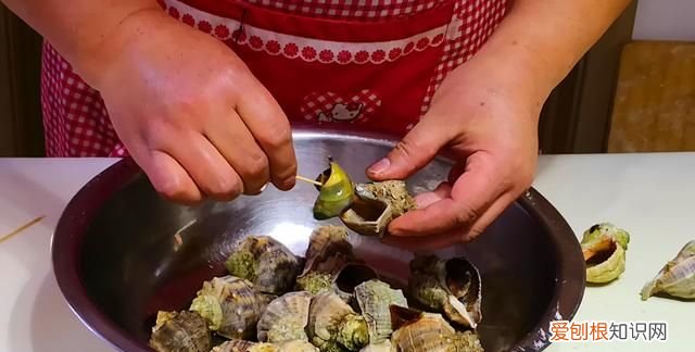海螺用冷水还是热水煮几分钟能熟
