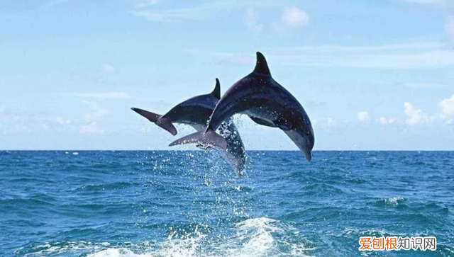 为什么地球上的水几亿年都不过期