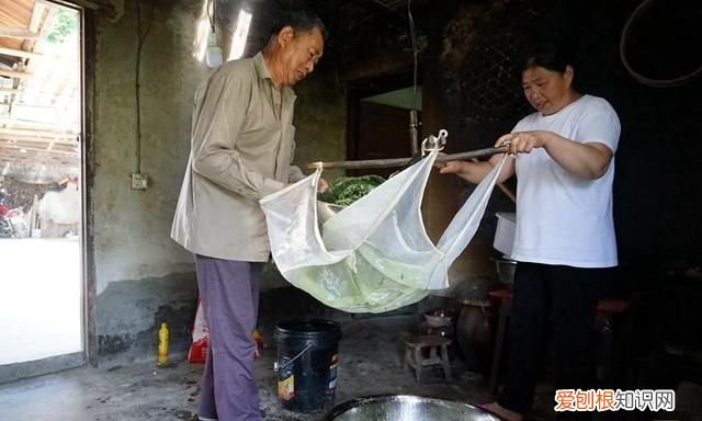 古石磨做豆腐 用树叶做豆腐的树叫什么名呢