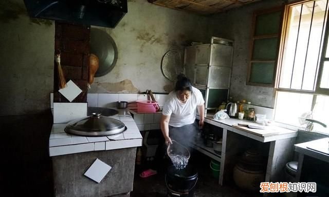 古石磨做豆腐 用树叶做豆腐的树叫什么名呢