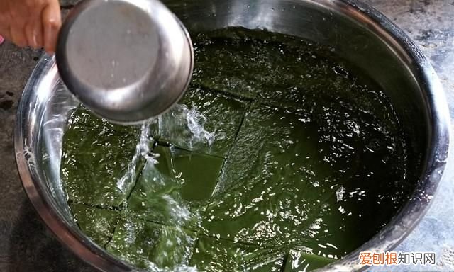 古石磨做豆腐 用树叶做豆腐的树叫什么名呢