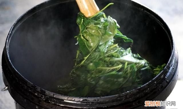 古石磨做豆腐 用树叶做豆腐的树叫什么名呢