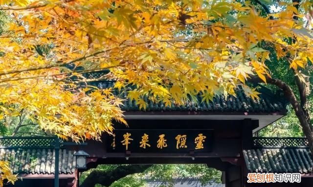 旅游专列是住火车上吗,中国最值得去的5个地方旅游专列