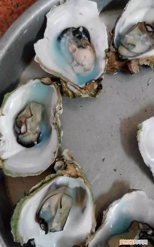 生蚝蒸熟变绿色怎么回事,买的生蚝打开后肉是黑色的