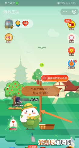 怎么在蚂蚁庄园让小鸡抢食