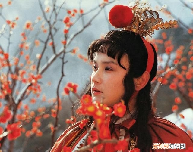 红楼梦柳絮词薛宝钗与林黛玉 咏柳絮林黛玉薛宝钗对比赏析