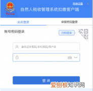自然人税收管理系统扣缴怎样登录