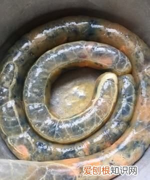 皮蛋肠的家常做法，肉皮松花蛋肠的做法及配料