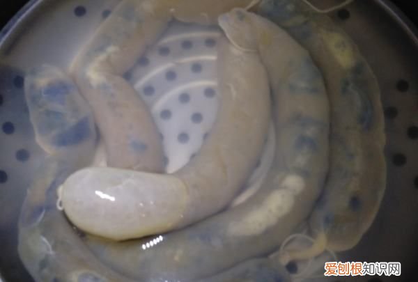 皮蛋肠的家常做法，肉皮松花蛋肠的做法及配料