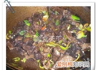 木耳肉片的做法，木耳炒肉片怎么炒嫩又好吃视频