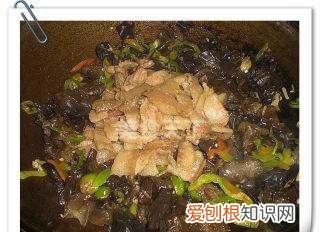 木耳肉片的做法，木耳炒肉片怎么炒嫩又好吃视频