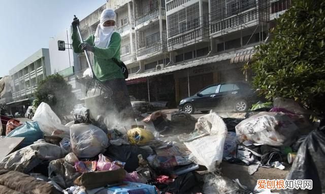 为什么说垃圾分类是道智商题