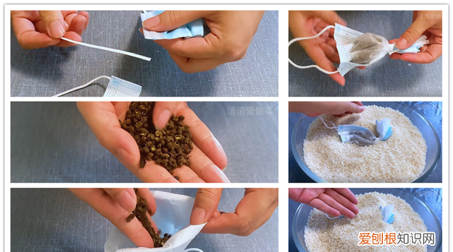 大米生虫教你怎么样除虫 大米长虫怎么处理干净呀