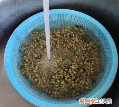 鲜花椒怎么保存不变色又保鲜 鲜花椒保存的正确熬制方法