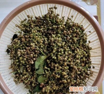 鲜花椒怎么保存不变色又保鲜 鲜花椒保存的正确熬制方法