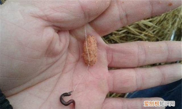 野钓鲫鱼调漂的正确方法与技巧,野钓鲫鱼调漂最实用方法