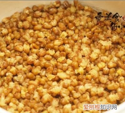 陈皮绿豆糖水的功效与作用,百合绿豆陈皮糖水要放糖吗为什么