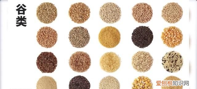 粗粮热量比大米还高,你不知道的减肥秘密是什么?