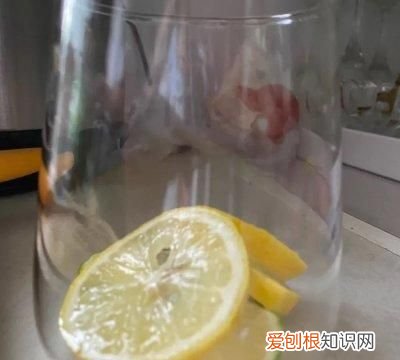 百香果柠檬茶 不用茶包 制作方法 百香果柠檬茶的功效和作用