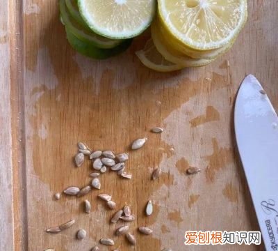 百香果柠檬茶 不用茶包 制作方法 百香果柠檬茶的功效和作用