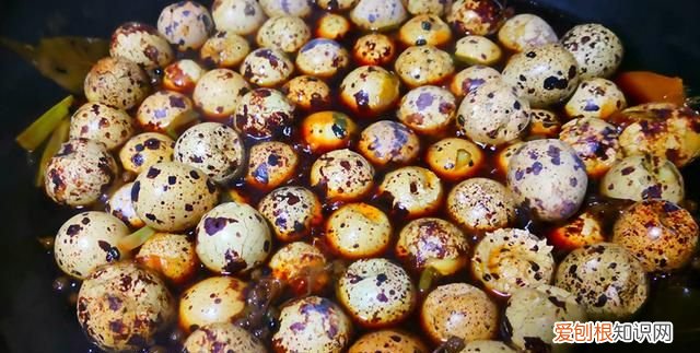 鹌鹑蛋的煮法几分钟熟 煮鹌鹑蛋正确方法和步骤