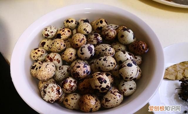 鹌鹑蛋的煮法几分钟熟 煮鹌鹑蛋正确方法和步骤
