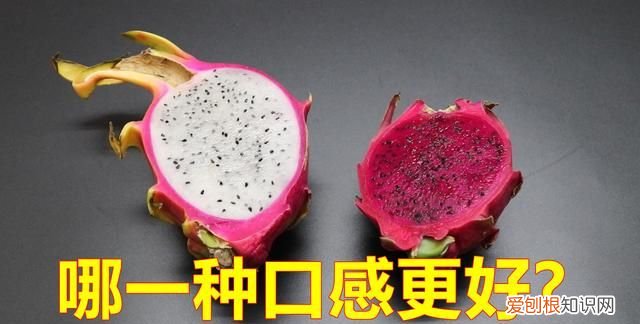 有关火龙果的幼儿小知识 火龙果的知识有哪些