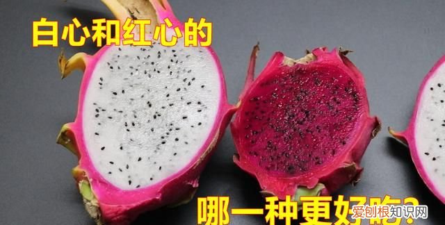 有关火龙果的幼儿小知识 火龙果的知识有哪些