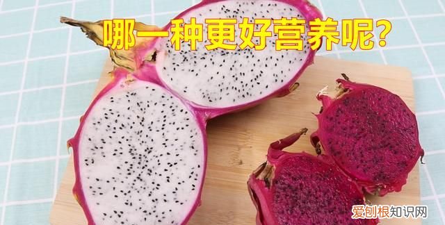 有关火龙果的幼儿小知识 火龙果的知识有哪些