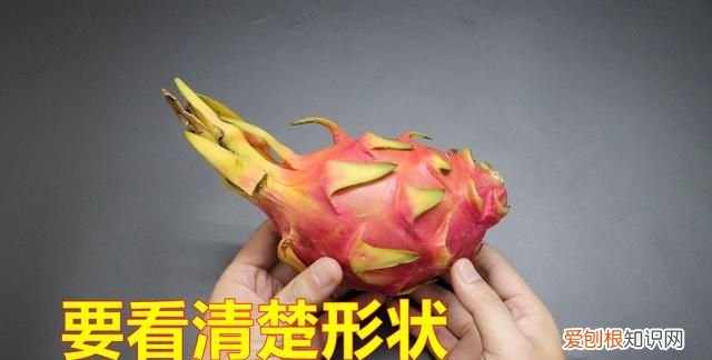 有关火龙果的幼儿小知识 火龙果的知识有哪些