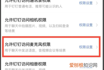 钉钉怎么开启麦克风权限，电脑钉钉麦克风没有声音怎么设置