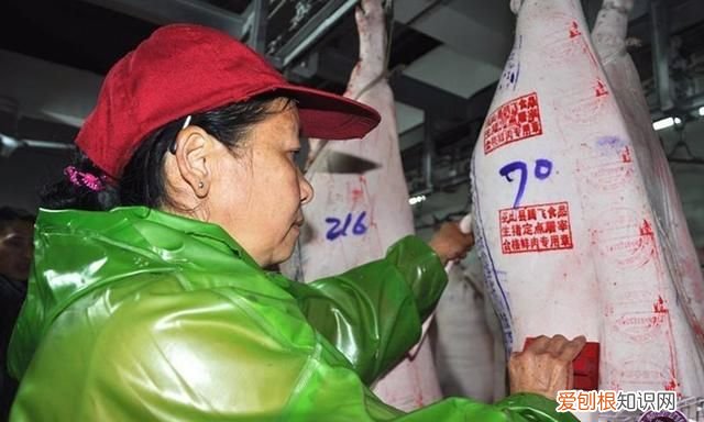 买猪肉什么形的章最安全 买猪肉时盖什么颜色的章是好肉