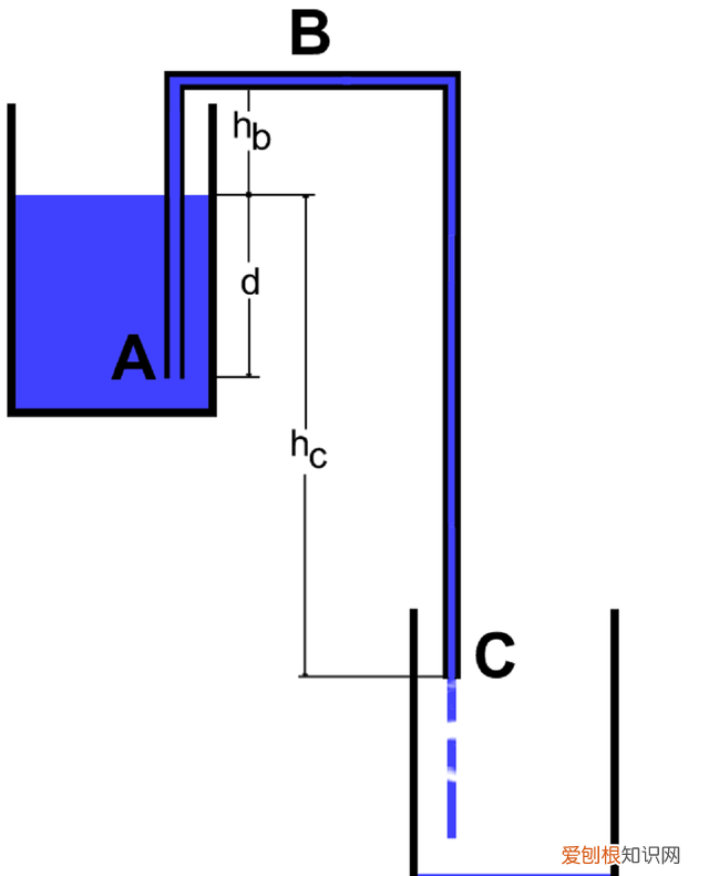 厕纸到底能不能扔马桶真的会堵吗