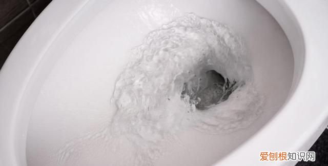 厕纸到底能不能扔马桶真的会堵吗