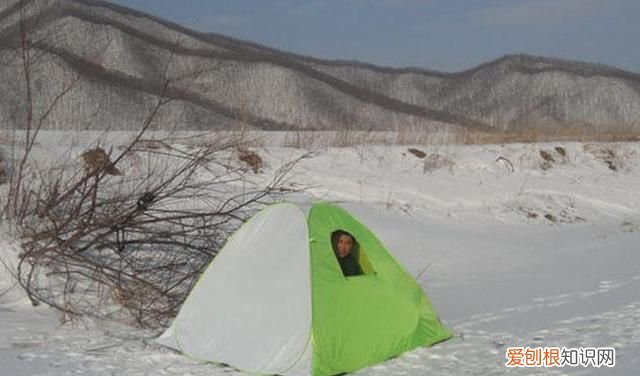 柳根鱼号称什么 柳根子是什么鱼