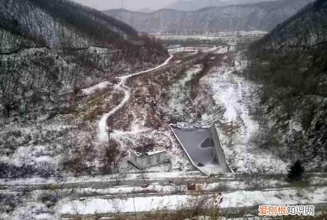 柳根鱼号称什么 柳根子是什么鱼