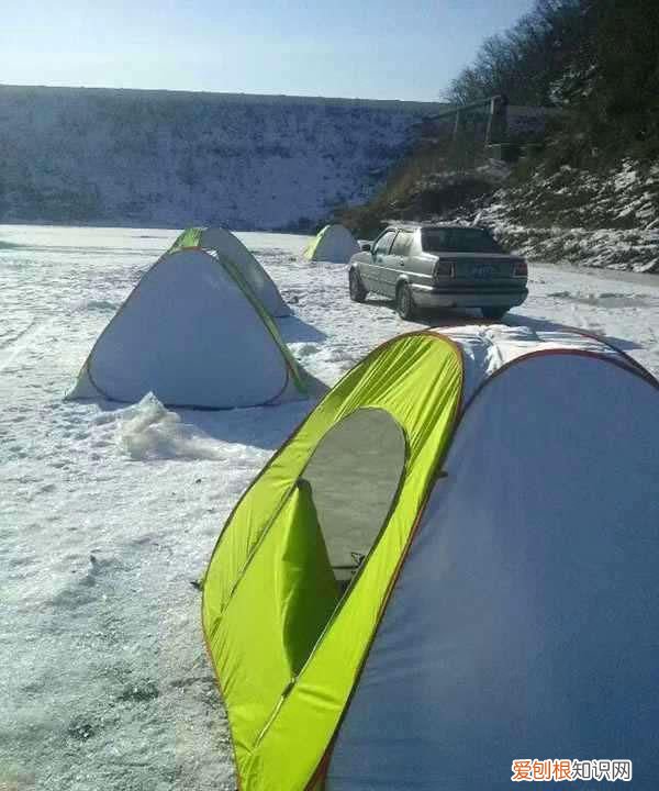 柳根鱼号称什么 柳根子是什么鱼