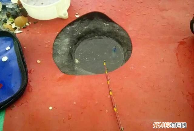 柳根鱼号称什么 柳根子是什么鱼